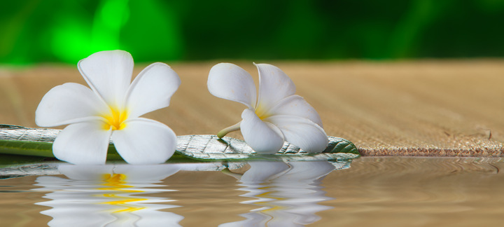 Brain Training: What is Neurofeedback