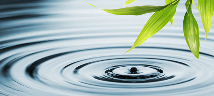 Brain Training: What is Biofeedback